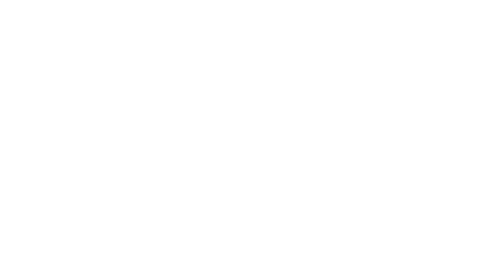 Auto Customer System